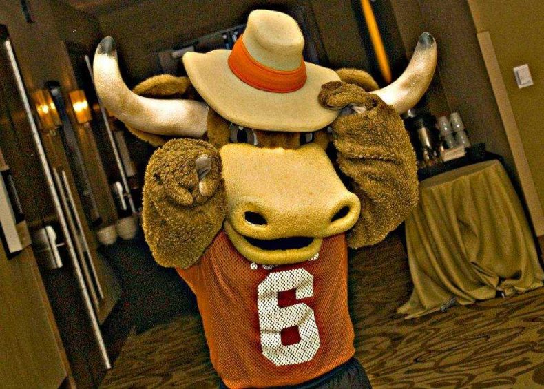 Hook Em University of Texas Mascot