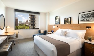 Standard King 7021 Room Web
